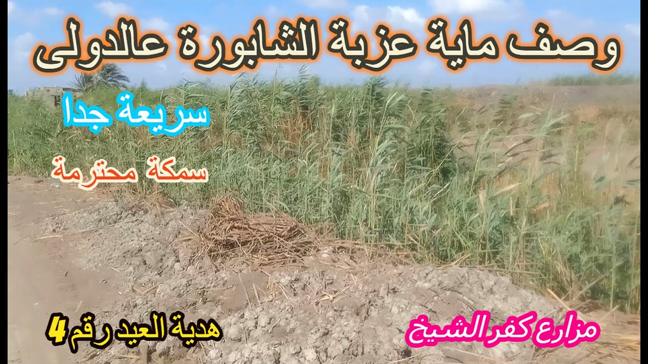 وصف طريق ماية عزبة الشابورة الرائعة