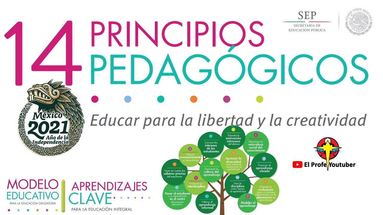 14 Principios Pedagógicos Nuevo Modelo Educativo 2021 | Primer Dominio
