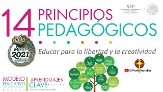 14 Pedagogical Principles of the New Educational Model 2021 | First Domain