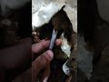 #airconditioner #shortsvideo #youtubeshorts #youtubeshorts #refrigerator