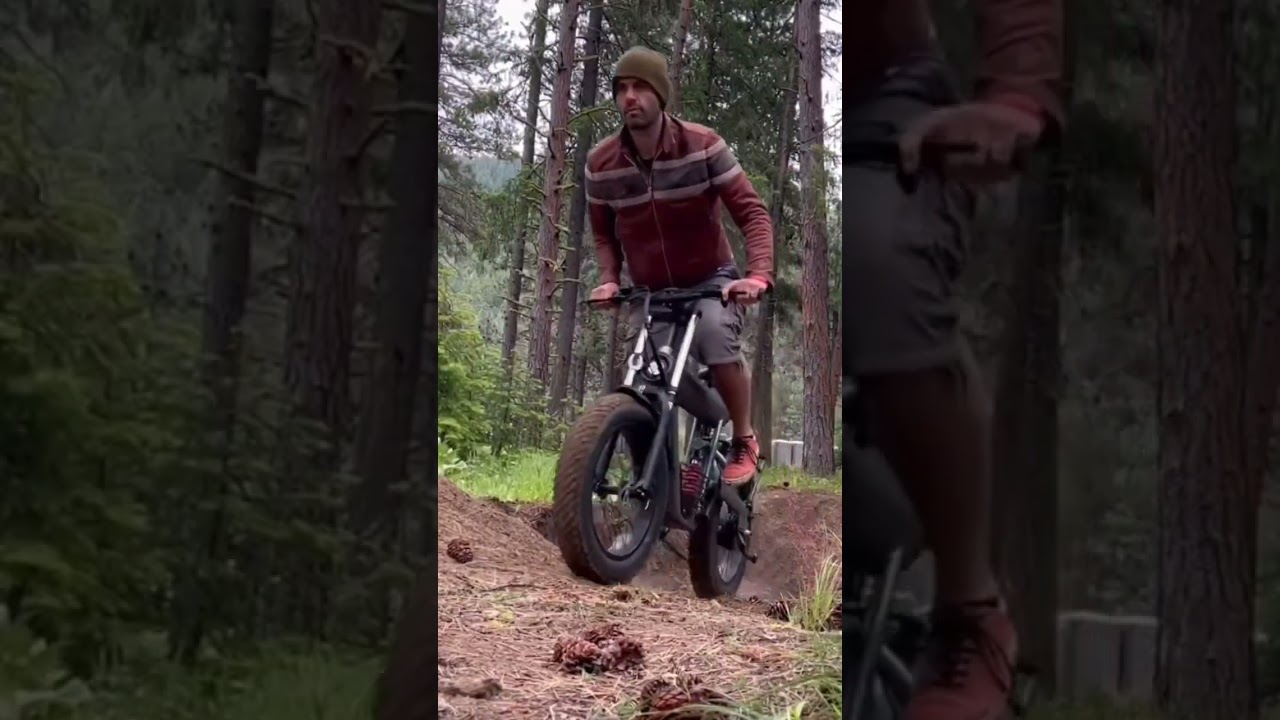 COSWHEEL Cool T20 Ebike