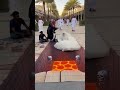 ردة فعل العروس أحرجت العريس قليل ا اكسبلور كوميديات ضحك Funny Shorts 