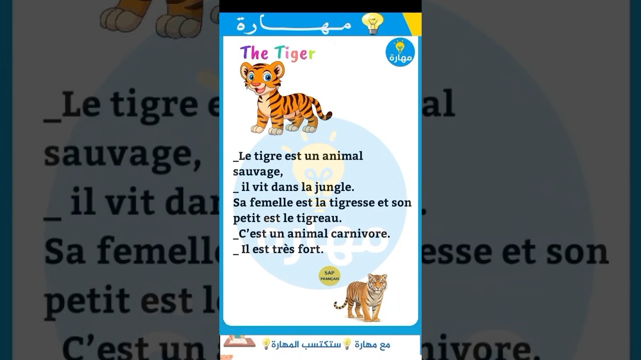 تعبير كتابي بالفرنسية النمر للسنة الخامسة ابتدائي #Le tigre#مهارة💡💡