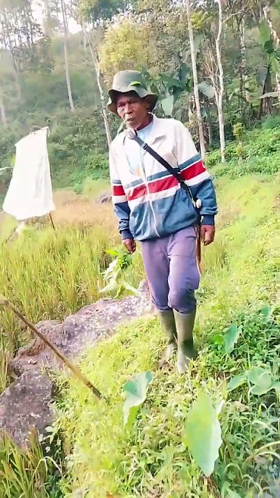 𝙨𝙞𝙖𝙗𝙖𝙝𝙜 𝙙𝙞 𝙟𝙖𝙞𝙡𝙞𝙣 𝙡𝙖𝙜𝙞 𝙖𝙞𝙧 𝙣𝙮𝙖 𝙢𝙖𝙢𝙥𝙚𝙩😂 #videoshorts