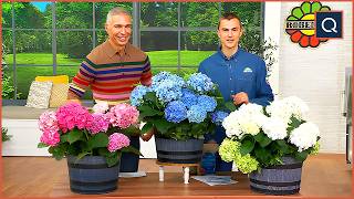 Bring Your Garden to Life with Roberta’s Unique Gardens | QVC