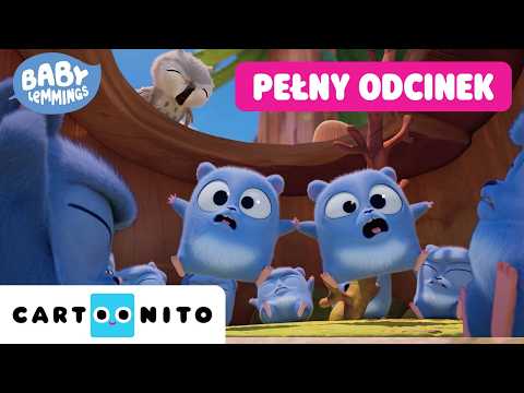 CAŁY ODCINEK: Kwitnąca kołysanka | Małe lemingi | Cartoonito