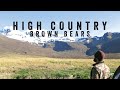 High Country Brown Bears, Alaska Brown Bear Hunting