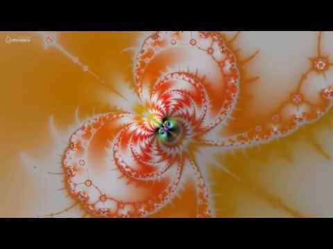 ვიდეო რომლის ყურებაც სიამოვნებას მოგანიჭებთ