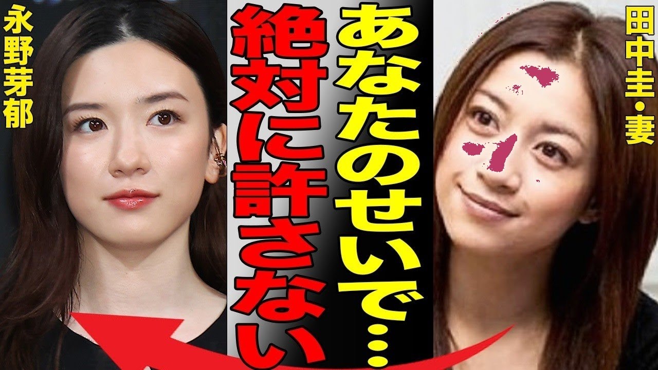 田中 圭 奥さん