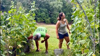 Download Lagu Gettin’ It Picked || Hot Days \u0026 Full Buckets || July 2025 MP3 Download Lagu Gettin’ It Picked || Hot Days \u0026 Full Buckets || July 2025 MP3