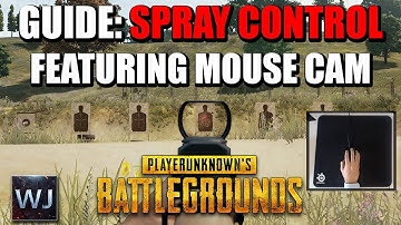 GUIDE: SPRAY CONTROL Featuring Mouse Cam (All Common AR