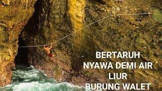 Download Lagu KISAH GUA SARANG WALET🐦 DI KARANG DUWUR//SARANG BURUNG WALET GUA ❗❗ MP3