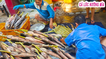 Hơn 4000 Con Cá Lóc Nướng Mía Chấm Mắm Nêm | Cận cảnh quy trình chế biến