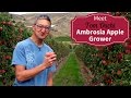 Meet Your BC Ambrosia Apple Growers - Tom Ouchi