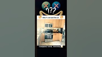 99% Can’t Find All the Cats! 😼 #shorts #puzzle #trending #youtubeshorts #usa