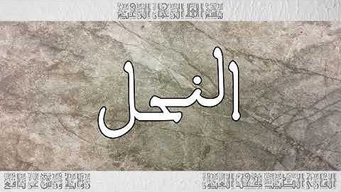 القرآن سورة النحل ورش القارئ الطيب كحل العيون 016
