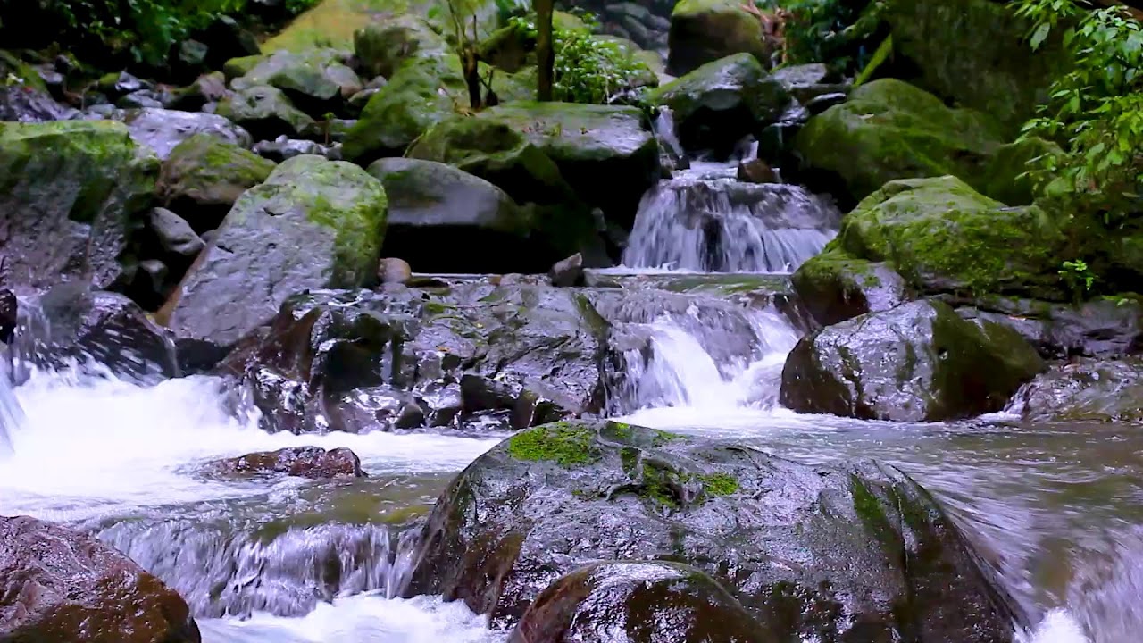 Natural River Flow Ambience | Deep Sleep White Noise for Better Night Rest