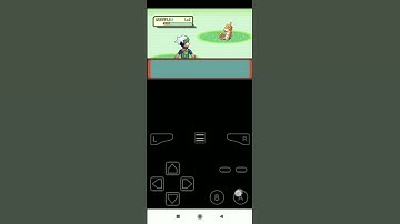 Pokemon Ruby File||How To Get No Random Battle Cheat Code||Pokemon Fans||#Short