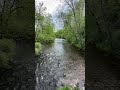 Babbling Brook