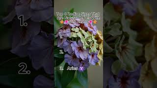 Top 3 Zodiac Signs That Are Natural Rebels With Soft Hearts 🥰💗 #ZodiacSigns #Horoscope #Zodiac screenshot 5