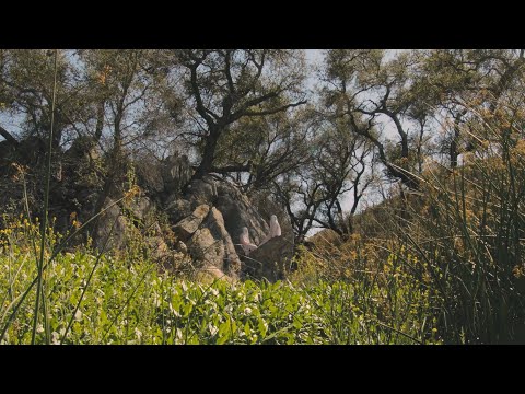 Devendra Banhart & Noah Georgeson - In A Cistern & Into Clouds