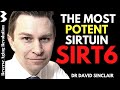 Sirt6  the most potent sirtuin   dr david sinclair interview clips