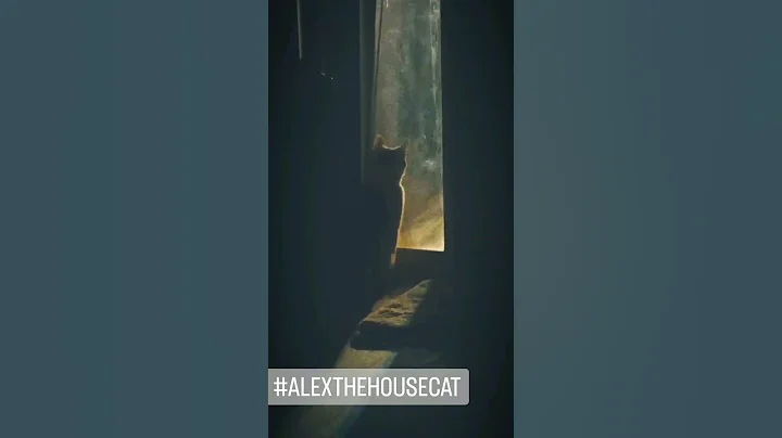 My little Alex in his solitude      Solitude sung ...