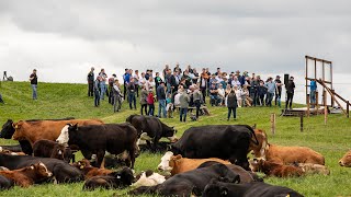 Thousands attend Tullamore Farm open day 2022