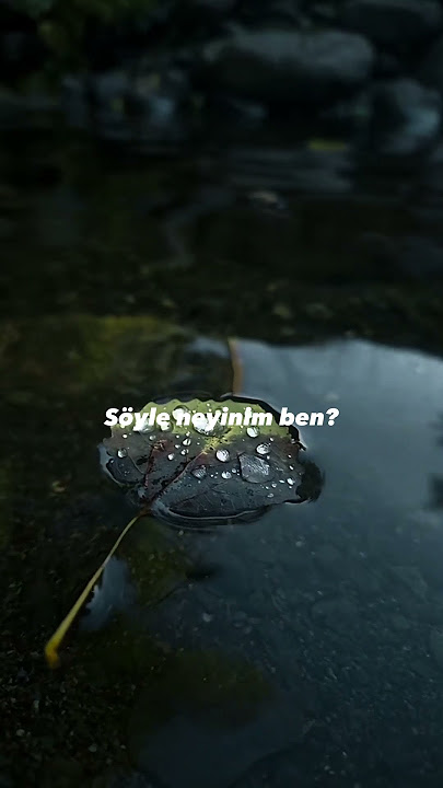 Mabel Matiz - Fan #lyrics #speedup  #mabelmatiz #edit