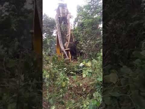 The Biggest Snake Ever Found Alive | Caught on Crane