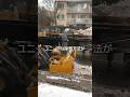 カナダの除雪方法