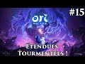 Ori and the will of the wisps 15  tendues tourmentes  difficile