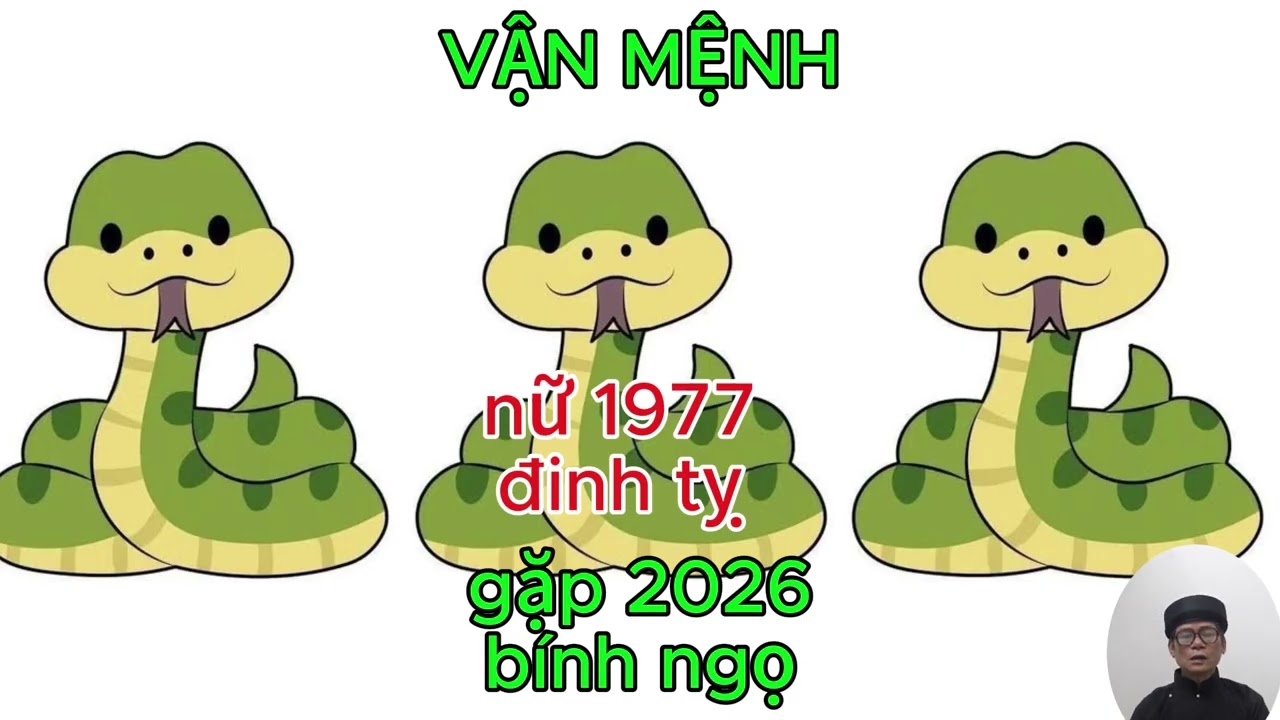 TỔNG QUAN TỐT XẤU NỮ ĐINH TỴ 1977 gặp 2026 bính ngọ