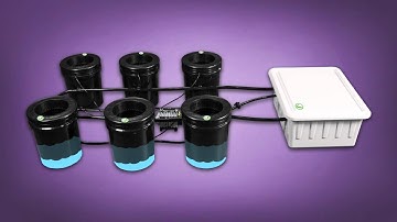 Hydroponic Bubble Flow Buckets for 6 Plants by Dealzer.com