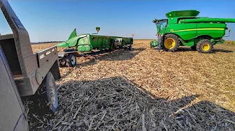 High Moisture Corn→Soybean Harvest