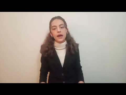 آخر التطورات على الحدود الفلسطينية اللبنانية