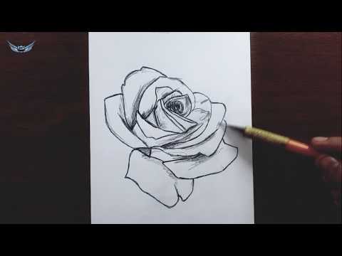 Gül Çiçegi Nasıl Çizilir   Çiçek Çizimleri