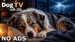 Thunderstorm Anxiety Relief for Dogs 🌩 12 Hours of Soft Piano Dog TV For Deep Sleep🐾 (No Ads)