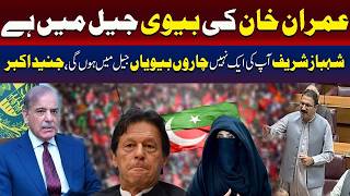 Junaid Akbar | Not One, Shehbaz Sharif All Four Wives Will Be In Jail | TV One USA