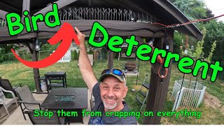 The Ultimate Guide to Installing Bird Spikes