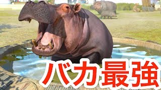 カメラがとらえた最強動物カバのクレイジーな瞬間 2 Zoo Tycoon 実況 Youtube