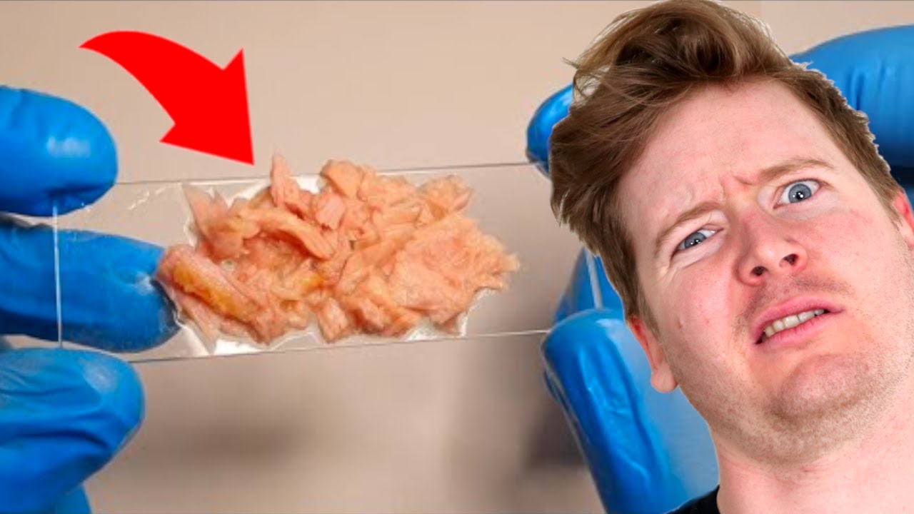 Why There Is Plastic In Fish Meat YouTube