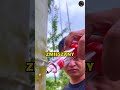 Naturalny Alkohol Z Rosnącego Bambusa 🍶