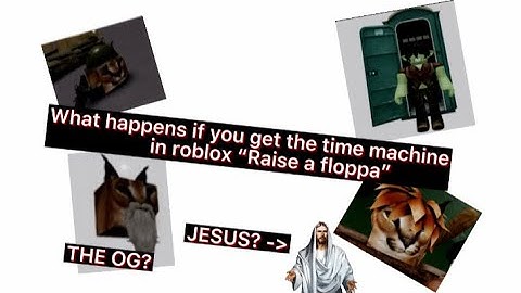 What happens when you get the time machine in “Raise a floppa” on roblox