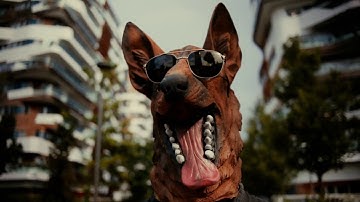 The Delay In The Universal Loop - Sacred Gurl (Official Video)