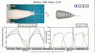 Learning Material Parameters and Hydrodynamics of Soft Robotic Fish via Differentiable Simulation screenshot 2