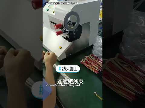 Continuous Taping Machine with Segmented Wrapping Function # Factory Real Shot