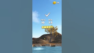 Flip Diving - THE PERFECT DIVE