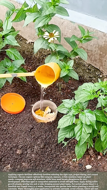 How about this method of storing organic fertilizer for vegetables? #gardeningtips #farmlife