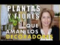 Decoración con PLANTAS 🌵Y FLORES 🌻de INTERIOR. Como lo hacen los MEJORES decoradores.